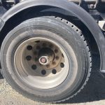TRL-14TROUT4784-503