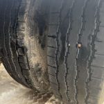 SID-08TROUTSD231-511