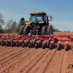 RCE-08ACCORDPLANTER-01w